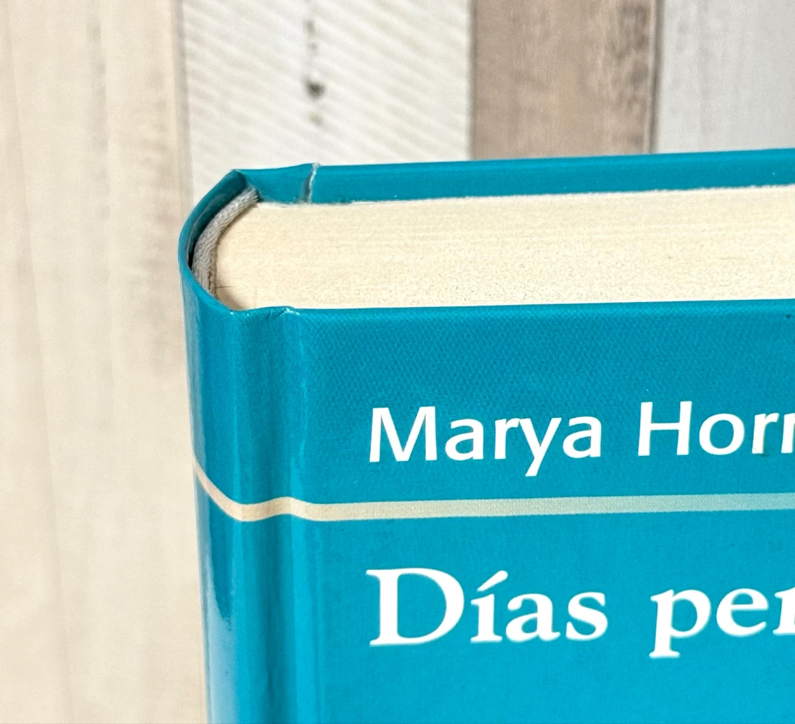 Libro Días perdidos  – photo 6
